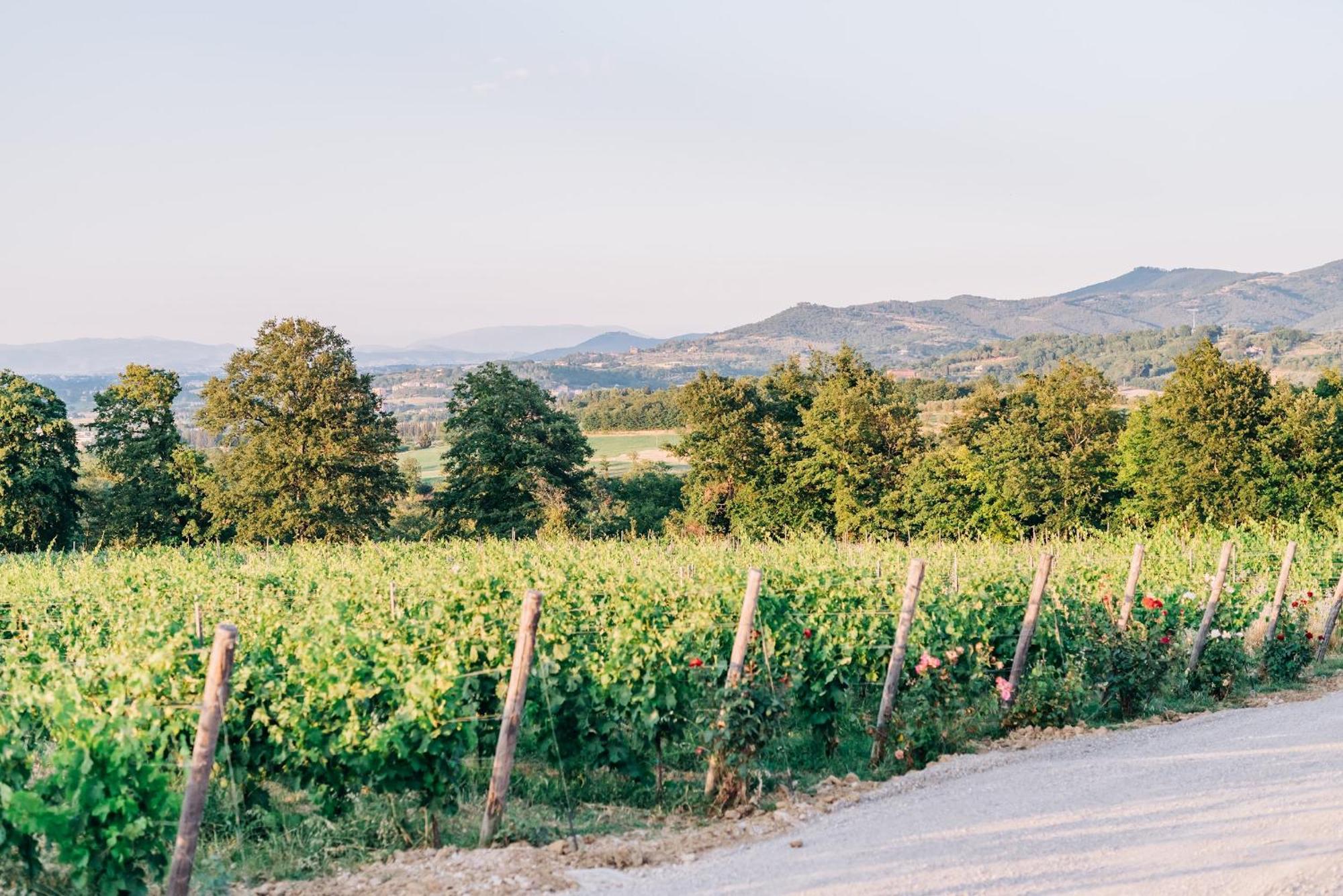 Borgo Siliano - Antico Podere Siliano Villa Città della Pieve Kültér fotó